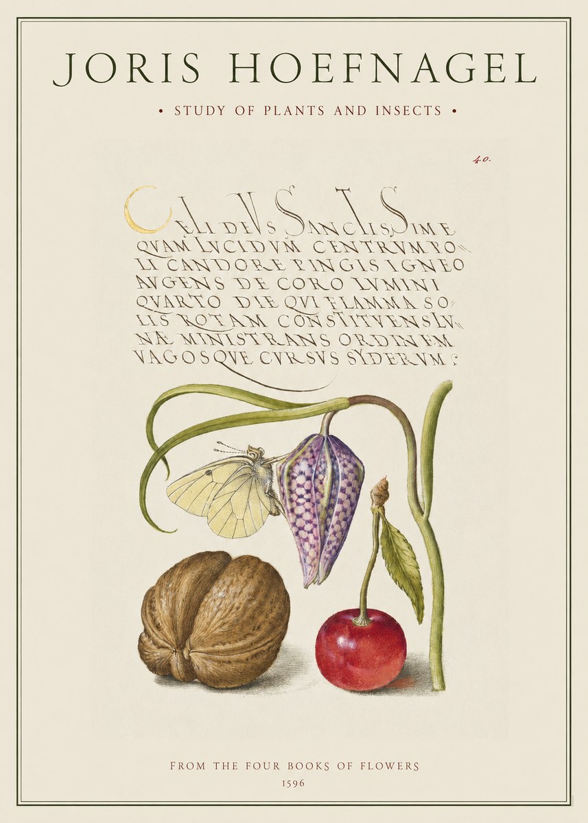 Joris Hoefnagel Study of Plants and Insects No1 - Poszter