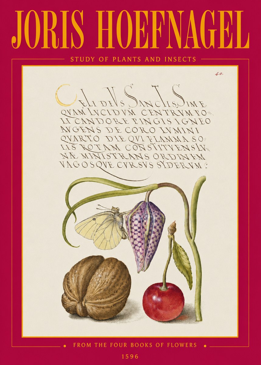 Joris Hoefnagel Study of Plants and Insects No3 - Poszter