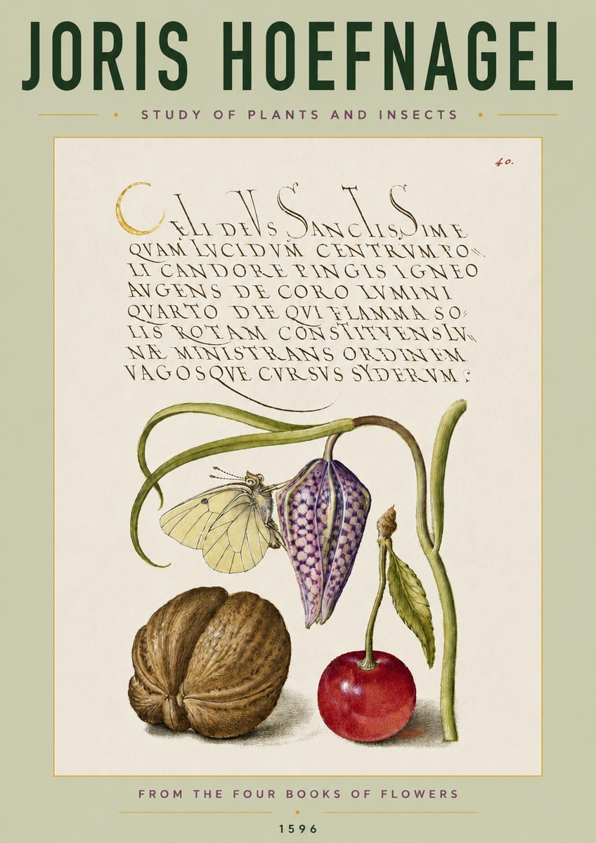 Joris Hoefnagel Study of Plants and Insects No4 - Poszter