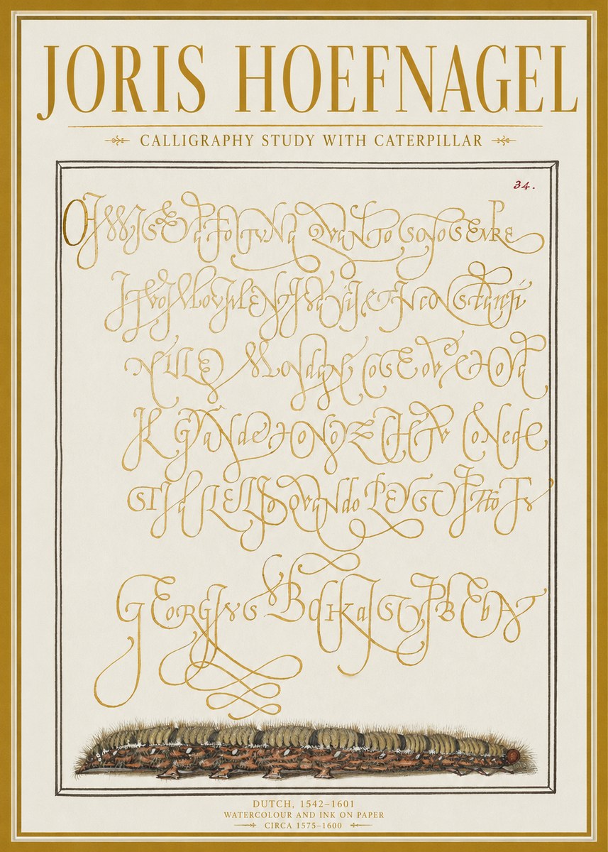 Joris Hoefnagel Calligraphy Study with Caterpillar No1 - Poszter