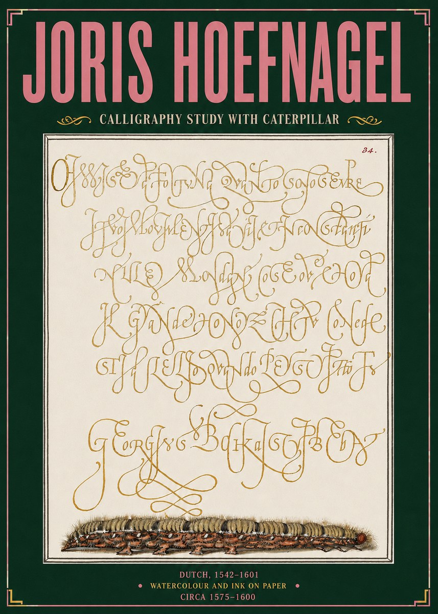 Joris Hoefnagel Calligraphy Study with Caterpillar No3 - Poszter