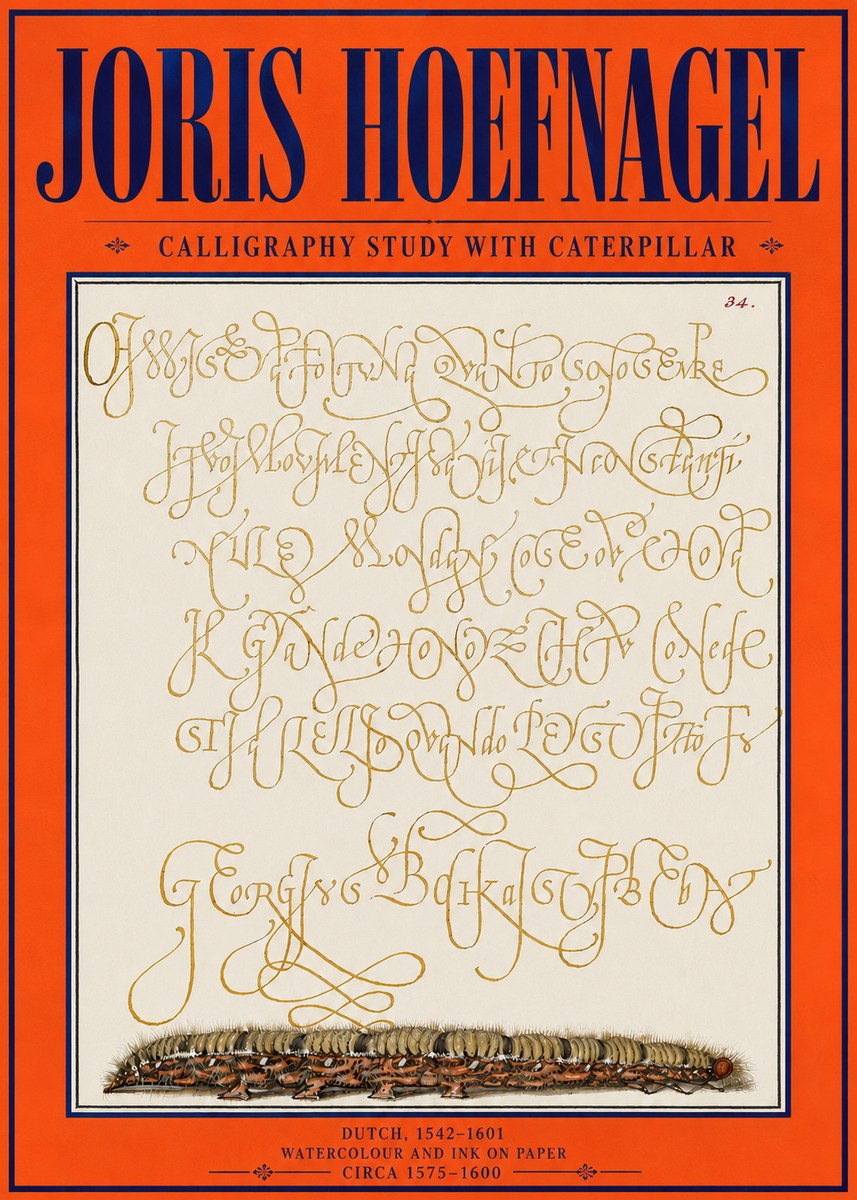 Joris Hoefnagel Calligraphy Study with Caterpillar No4 - Poszter