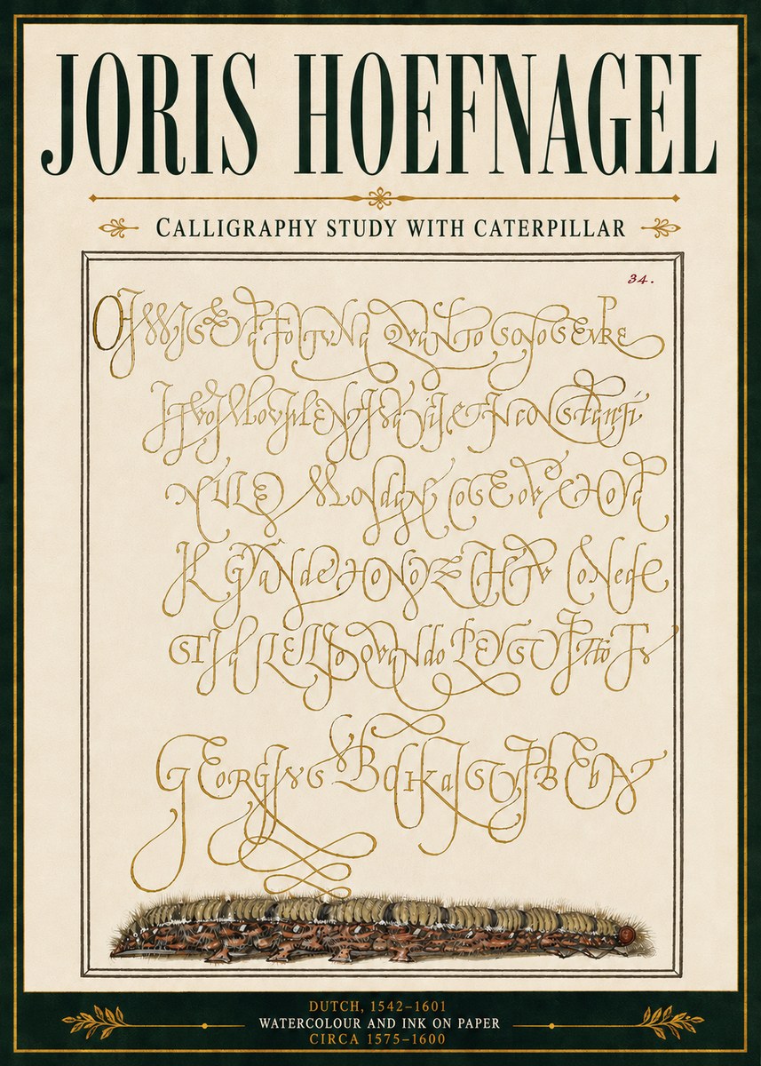 Joris Hoefnagel Calligraphy Study with Caterpillar No5 - Poszter