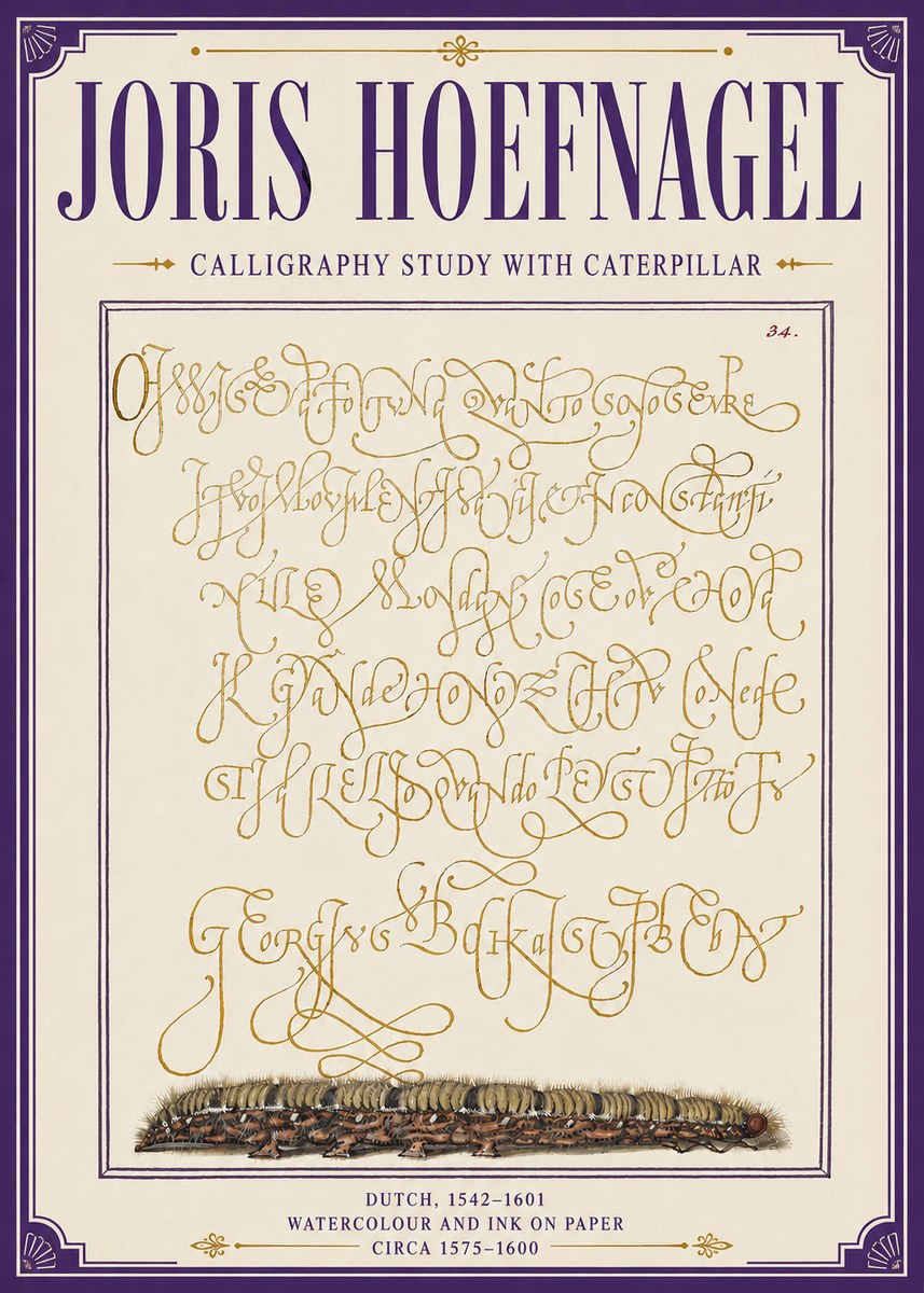 Joris Hoefnagel Calligraphy Study with Caterpillar No6 - Poszter