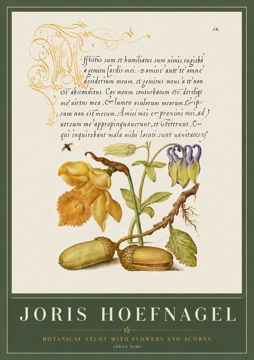 Joris Hoefnagel Illuminated Manuscript with Flowers and Acorns No6 - Poszter
