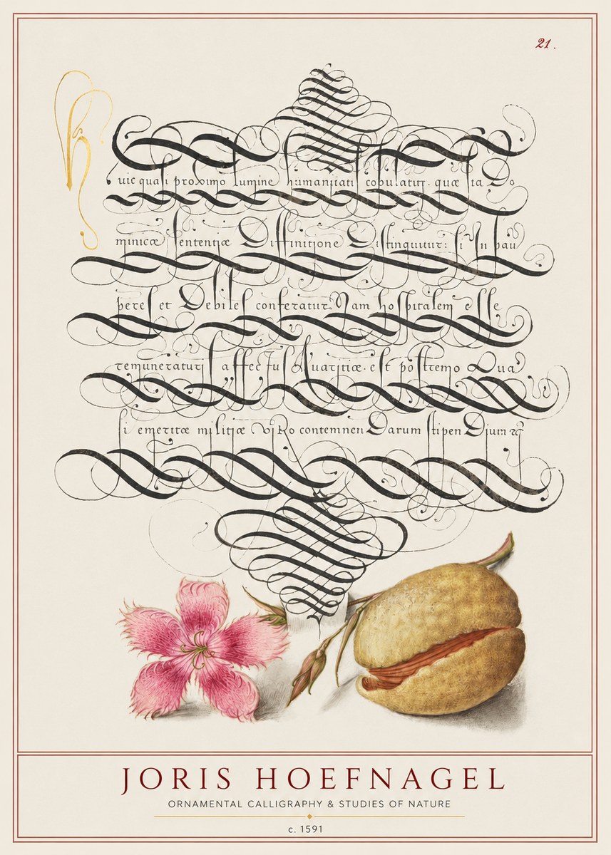 Joris Hoefnagel Ornamental Calligraphy & Studies of Nature No1 - Poszter