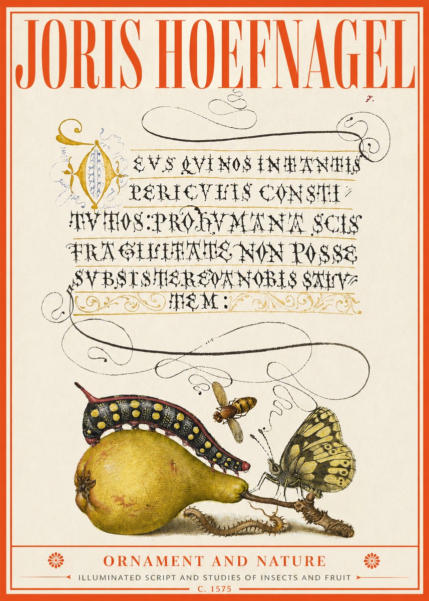 Joris Hoefnagel Ornament and Nature - Illuminated Script and Studies of Insects and Fruit No2 - Poszter