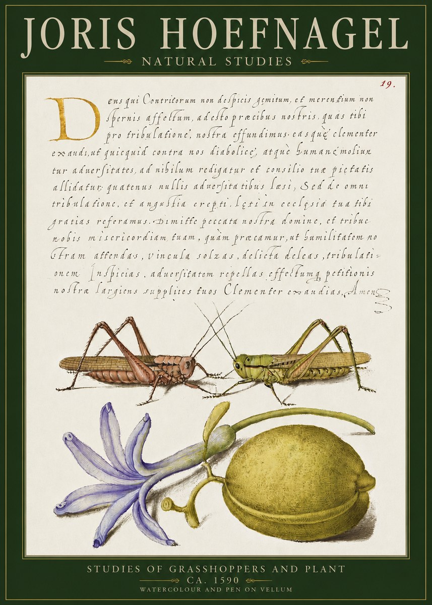 Joris Hoefnagel Studies of Grasshoppers and Plant No2 - Poszter