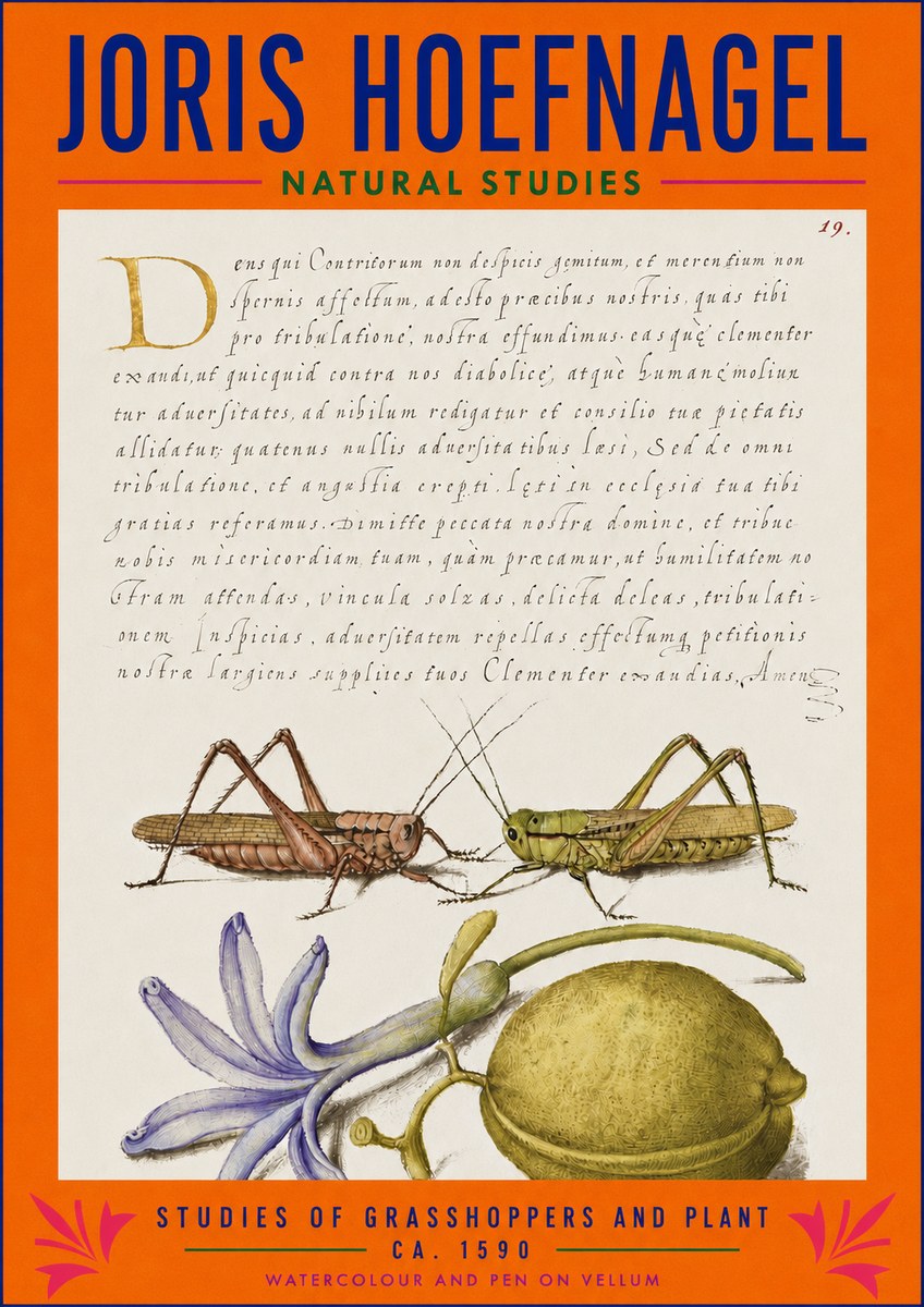 Joris Hoefnagel Studies of Grasshoppers and Plant No3 - Poszter