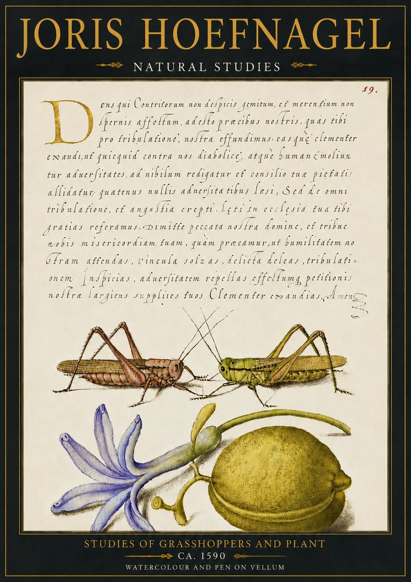 Joris Hoefnagel Studies of Grasshoppers and Plant No4 - Poszter