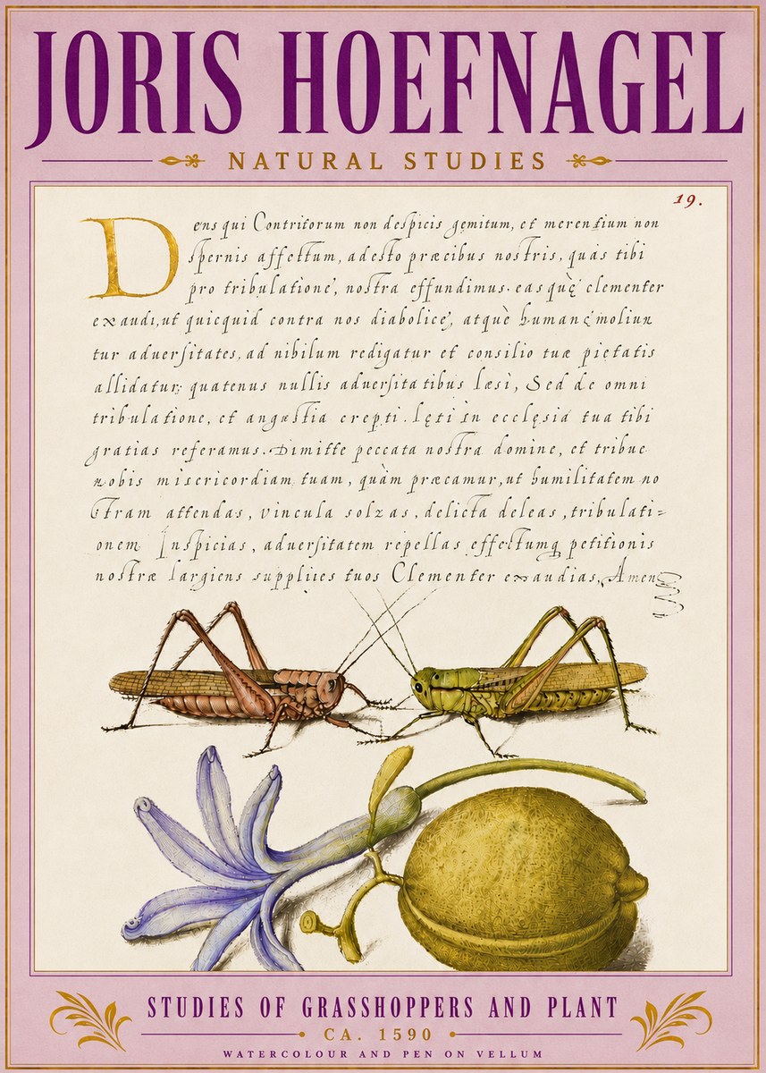 Joris Hoefnagel Studies of Grasshoppers and Plant No5 - Poszter