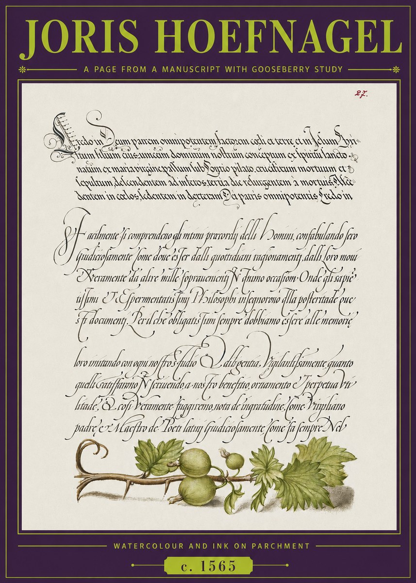 Joris Hoefnagel A Page from a Manuscript with Gooseberry Study No3 - Poszter