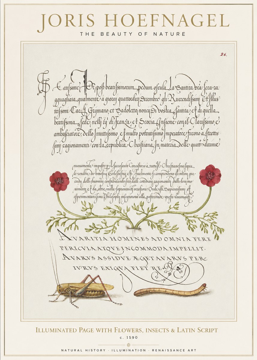 Joris Hoefnagel Illuminated Page with Flowers, Insects & Latin Script No1 - Poszter