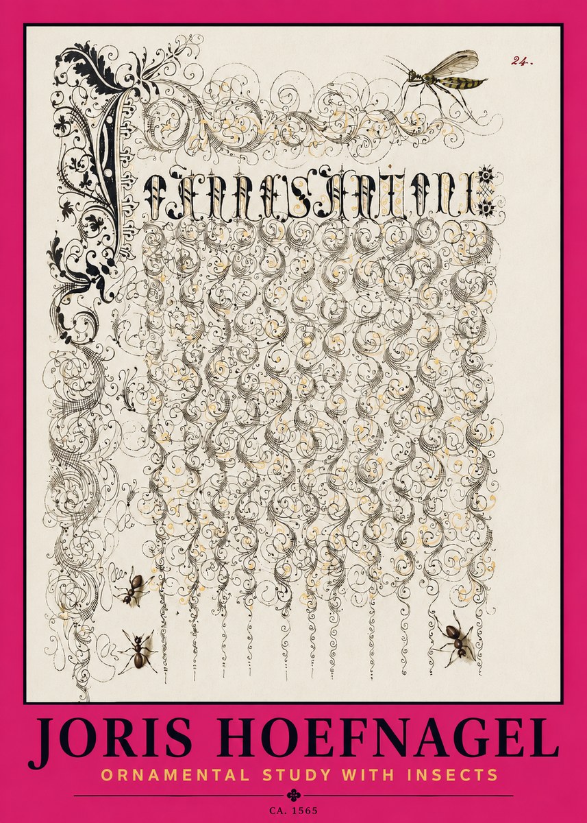Joris Hoefnagel Ornamental Study with Insects No2 - Poszter