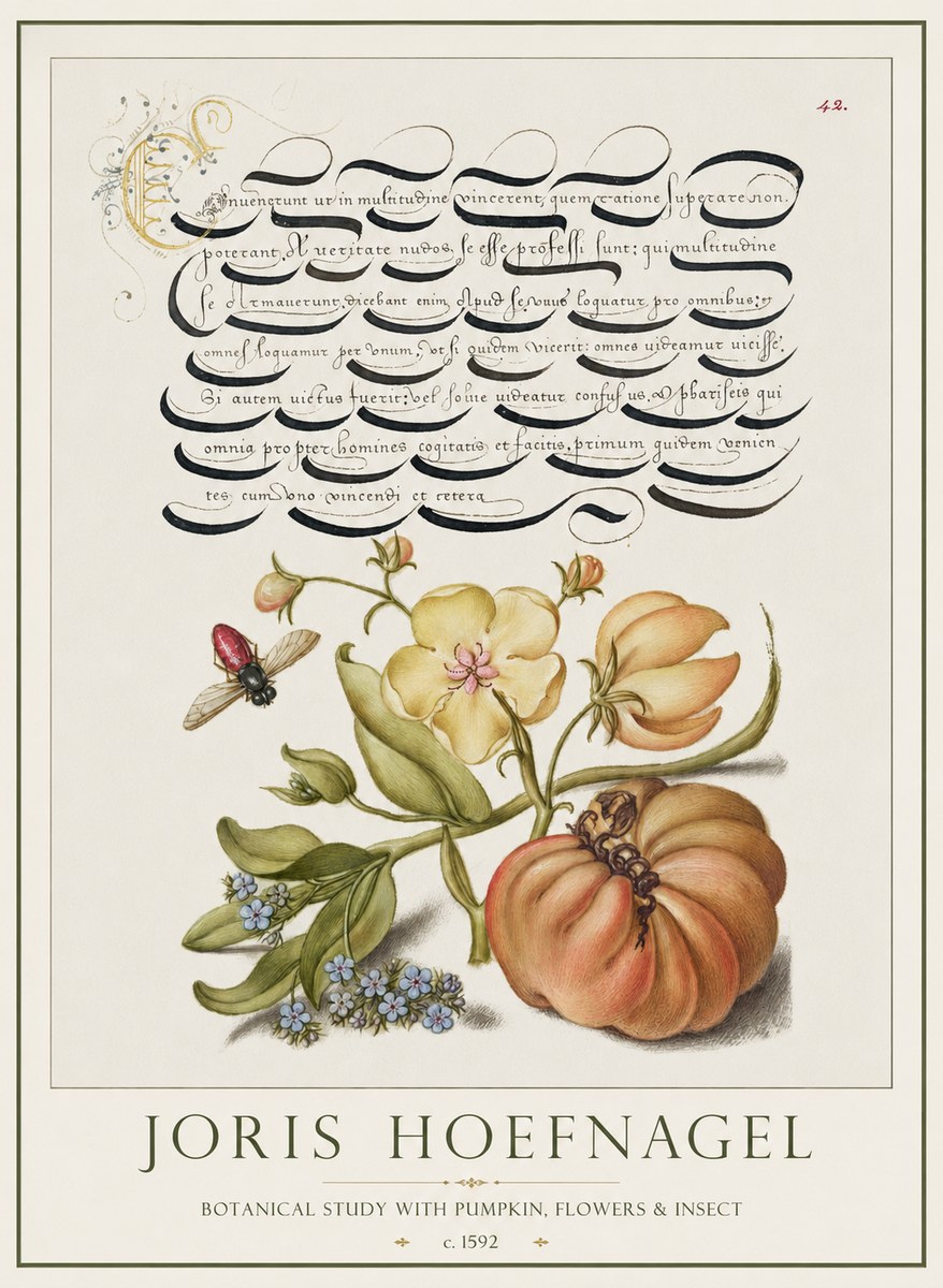 Joris Hoefnagel Botanical Study with Pumpkin, Flowers & Insect No1 - Poszter