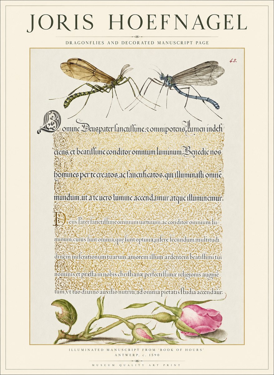 Joris Hoefnagel Dragonflies and Decorated Manuscript Page No1 - Poszter