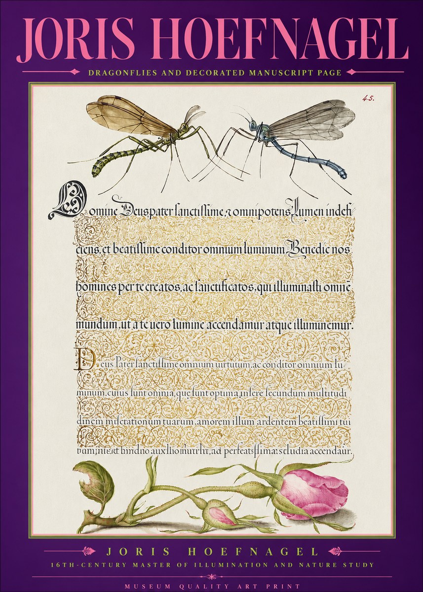 Joris Hoefnagel Dragonflies and Decorated Manuscript Page No2 - Poszter