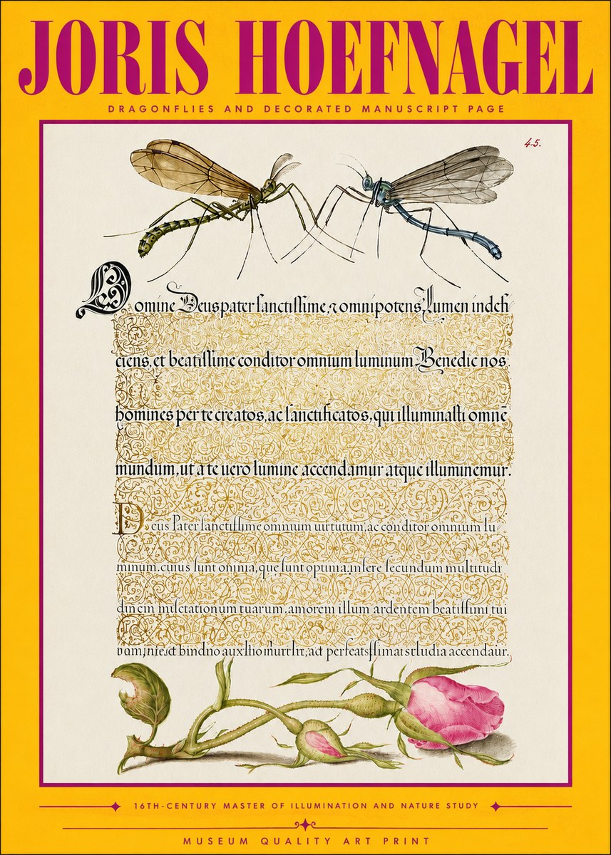 Joris Hoefnagel Dragonflies and Decorated Manuscript Page No4 - Poszter