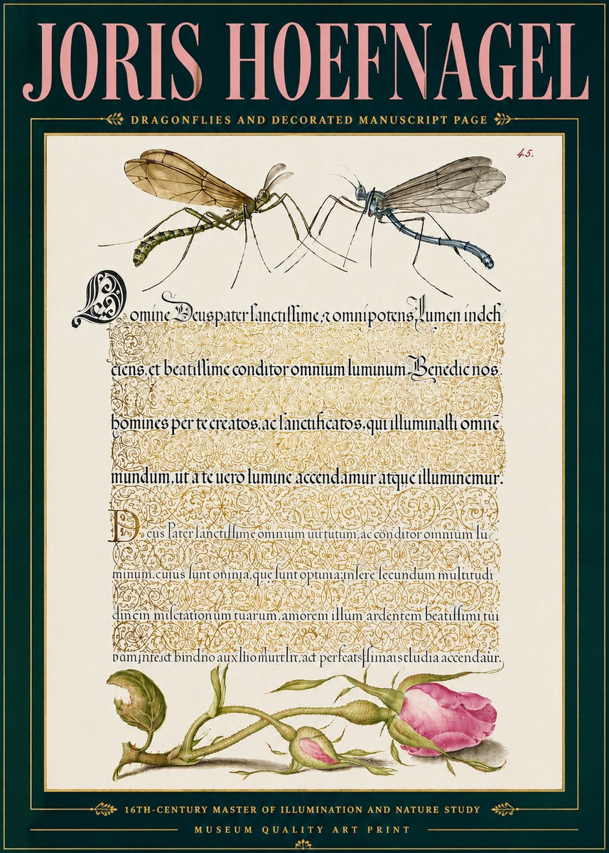 Joris Hoefnagel Dragonflies and Decorated Manuscript Page No5 - Poszter