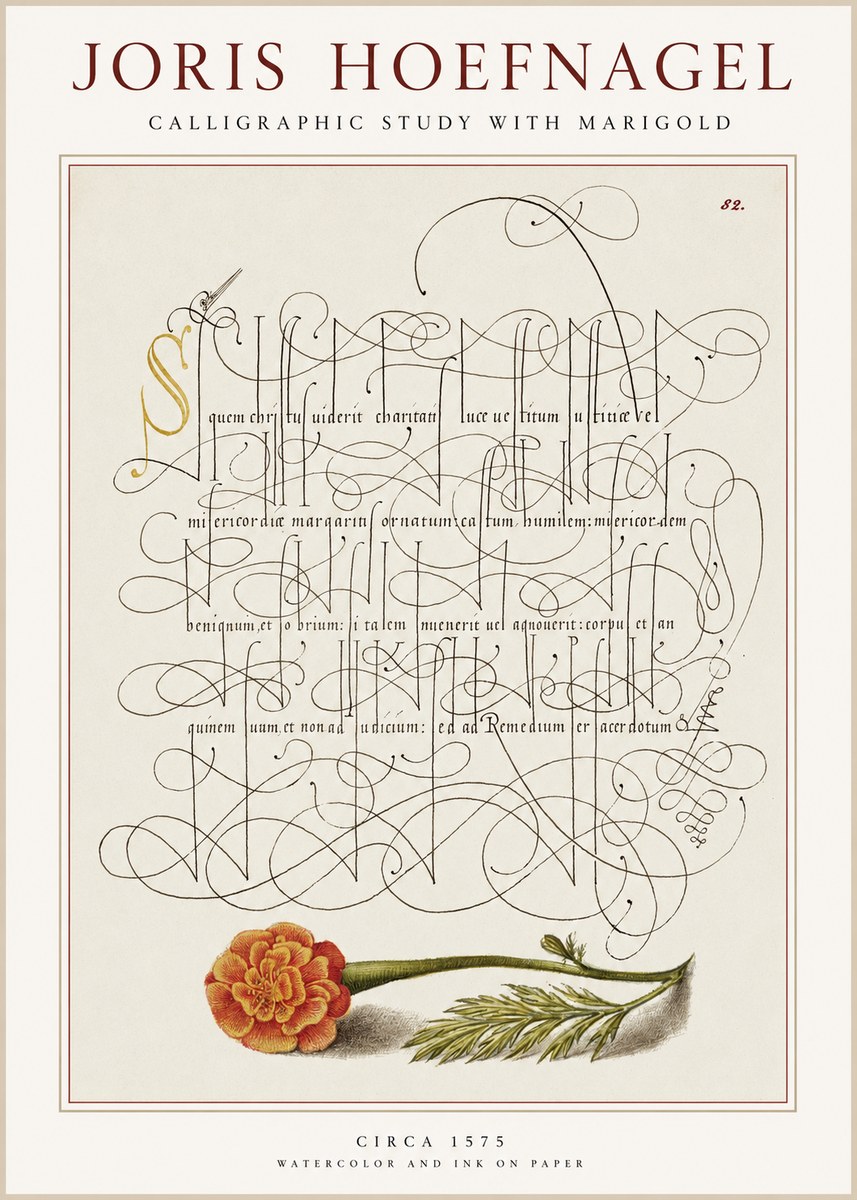 Joris Hoefnagel Calligraphic Study with Marigold No1 - Poszter