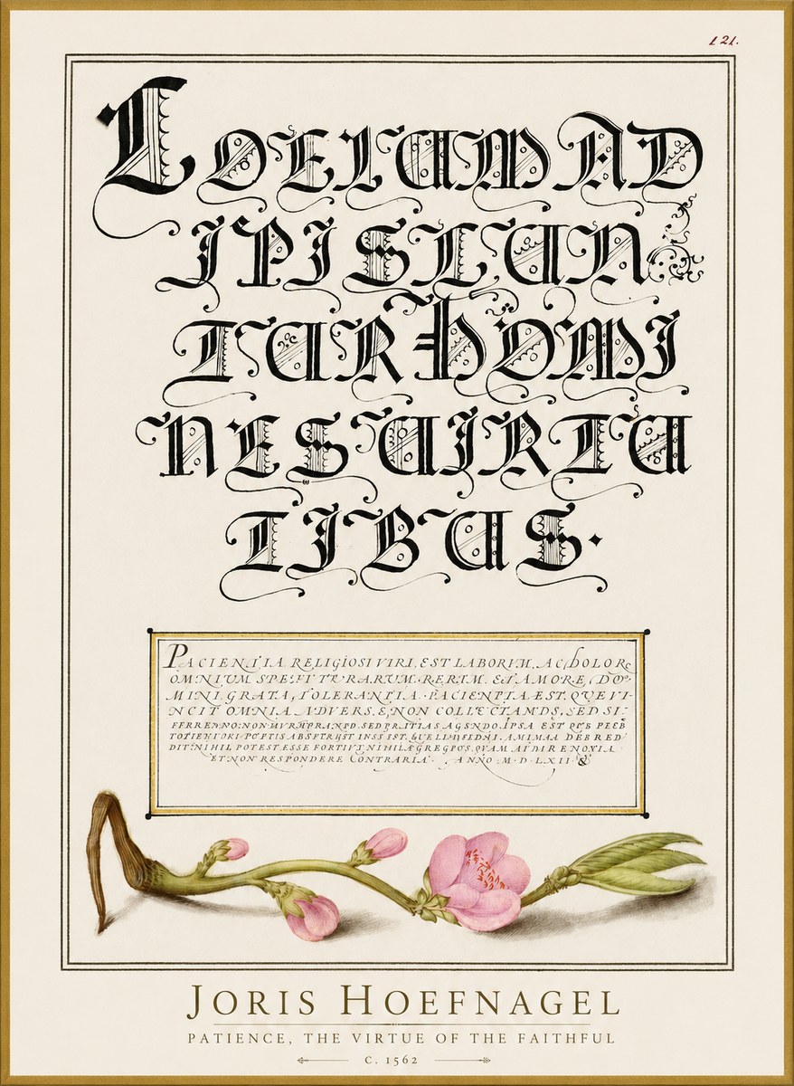Joris Hoefnagel Calligraphic Alphabet from a Book of Lettering No3 - Poszter