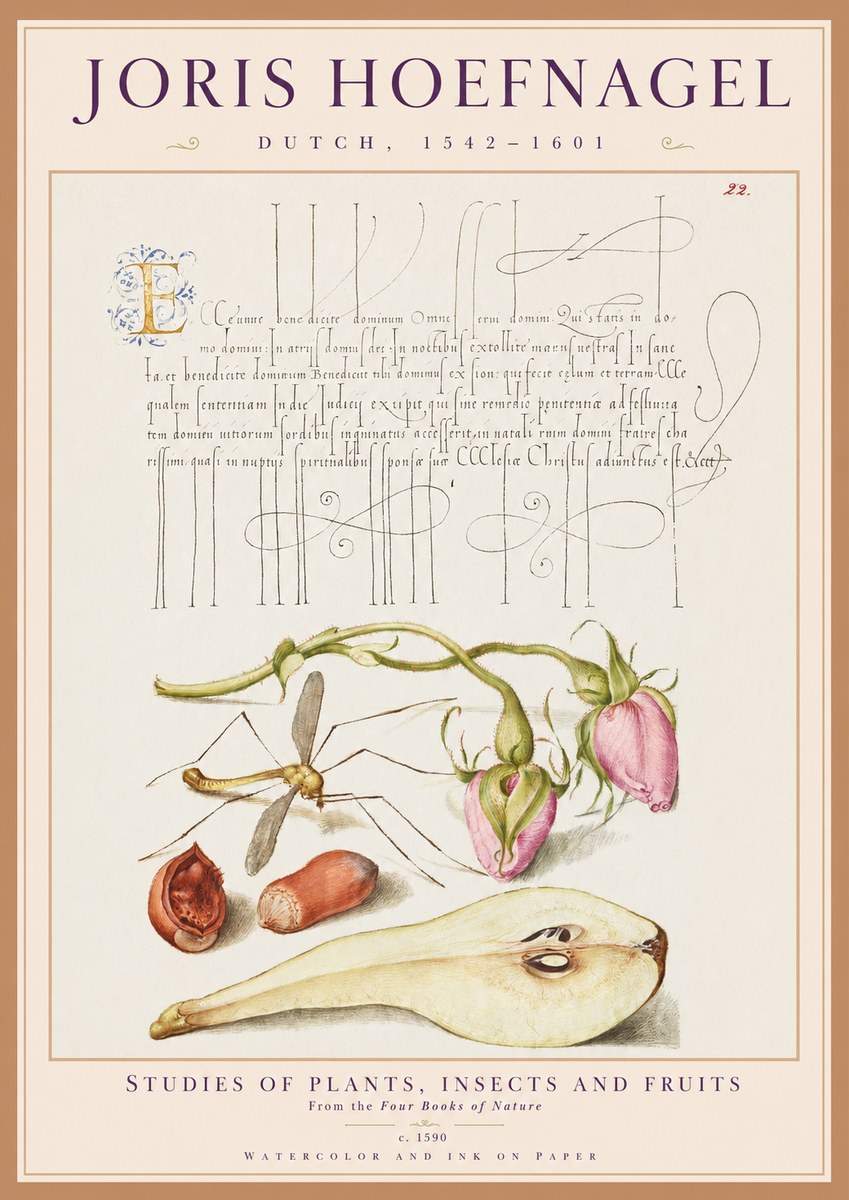 Joris Hoefnagel Studies of Plants, Insects and Fruits No1 - Poszter