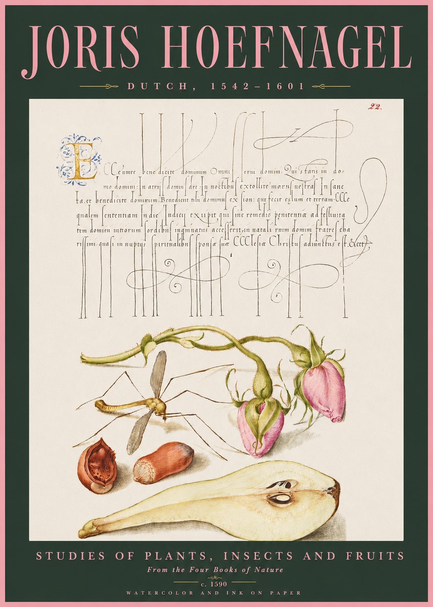 Joris Hoefnagel Studies of Plants, Insects and Fruits No2 - Poszter