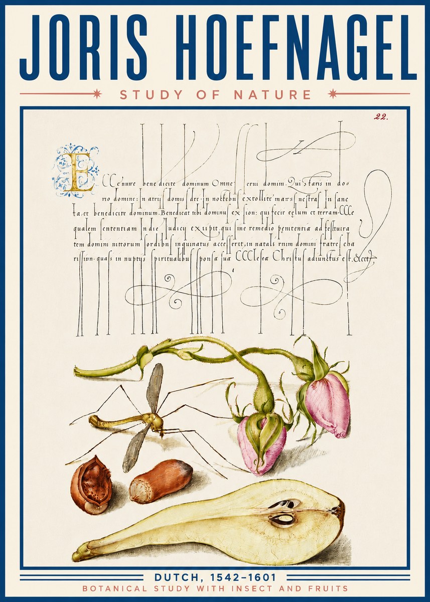 Joris Hoefnagel Studies of Plants, Insects and Fruits No6 - Poszter