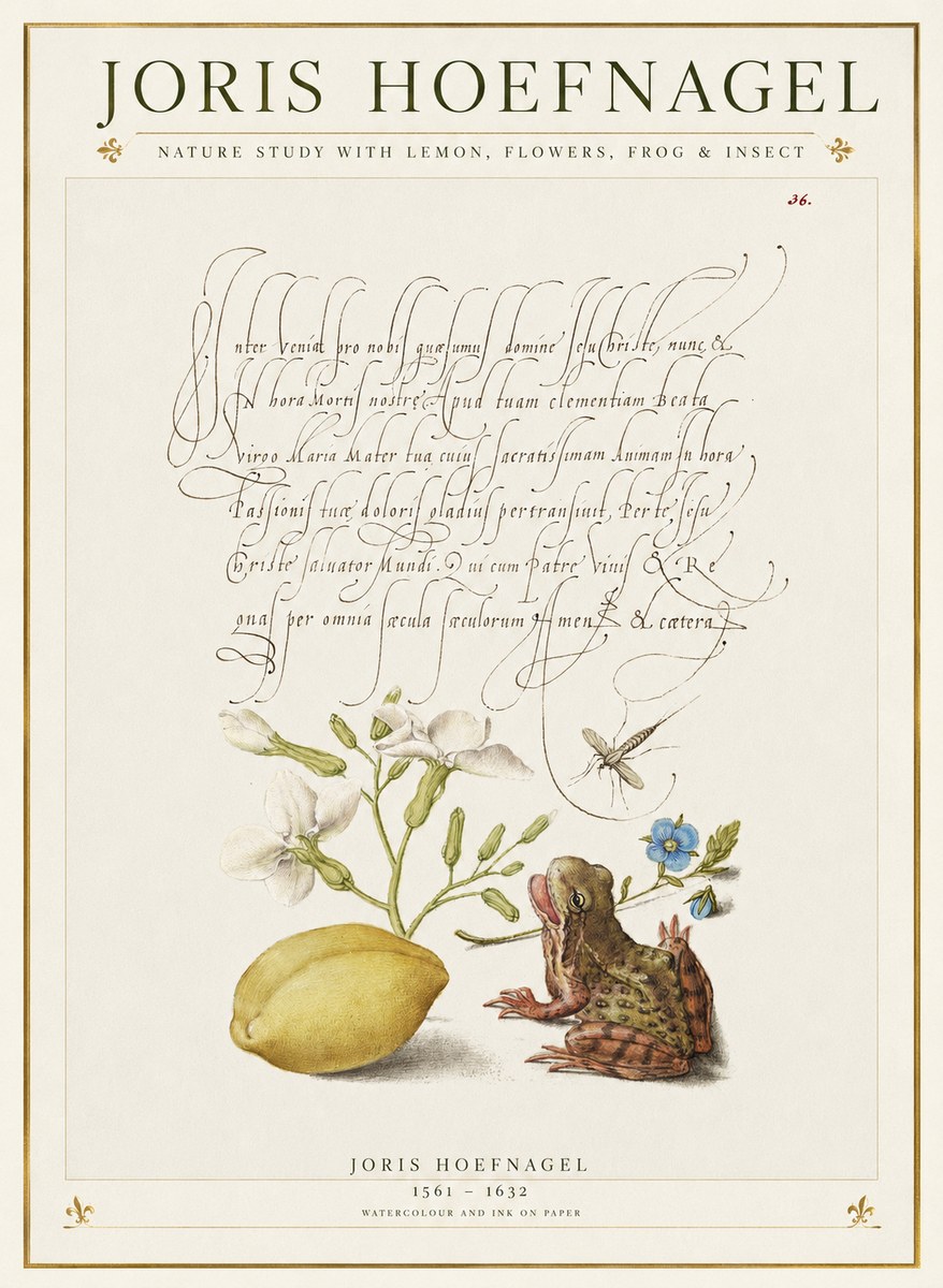 Joris Hoefnagel Nature Study with Lemon, Flowers, Frog & Insect No1 - Poszter
