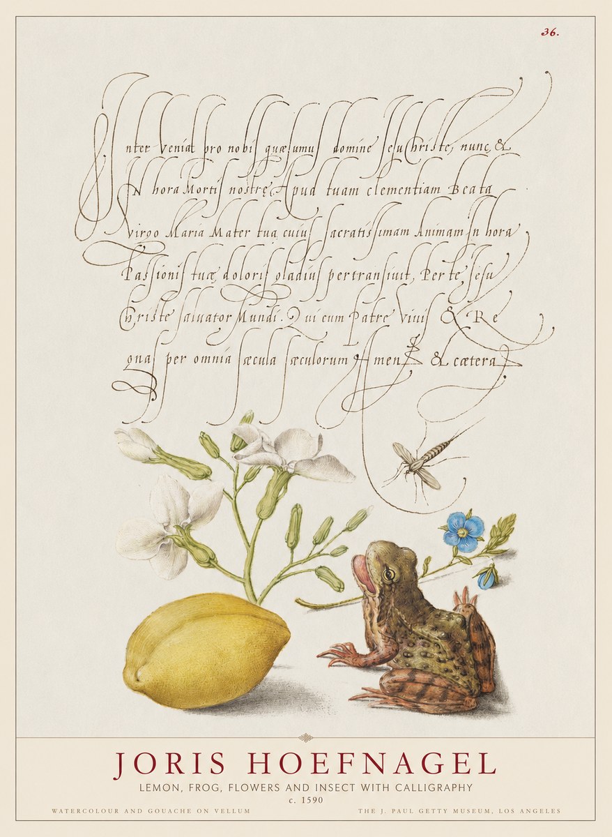 Joris Hoefnagel Nature Study with Lemon, Flowers, Frog & Insect No2 - Poszter