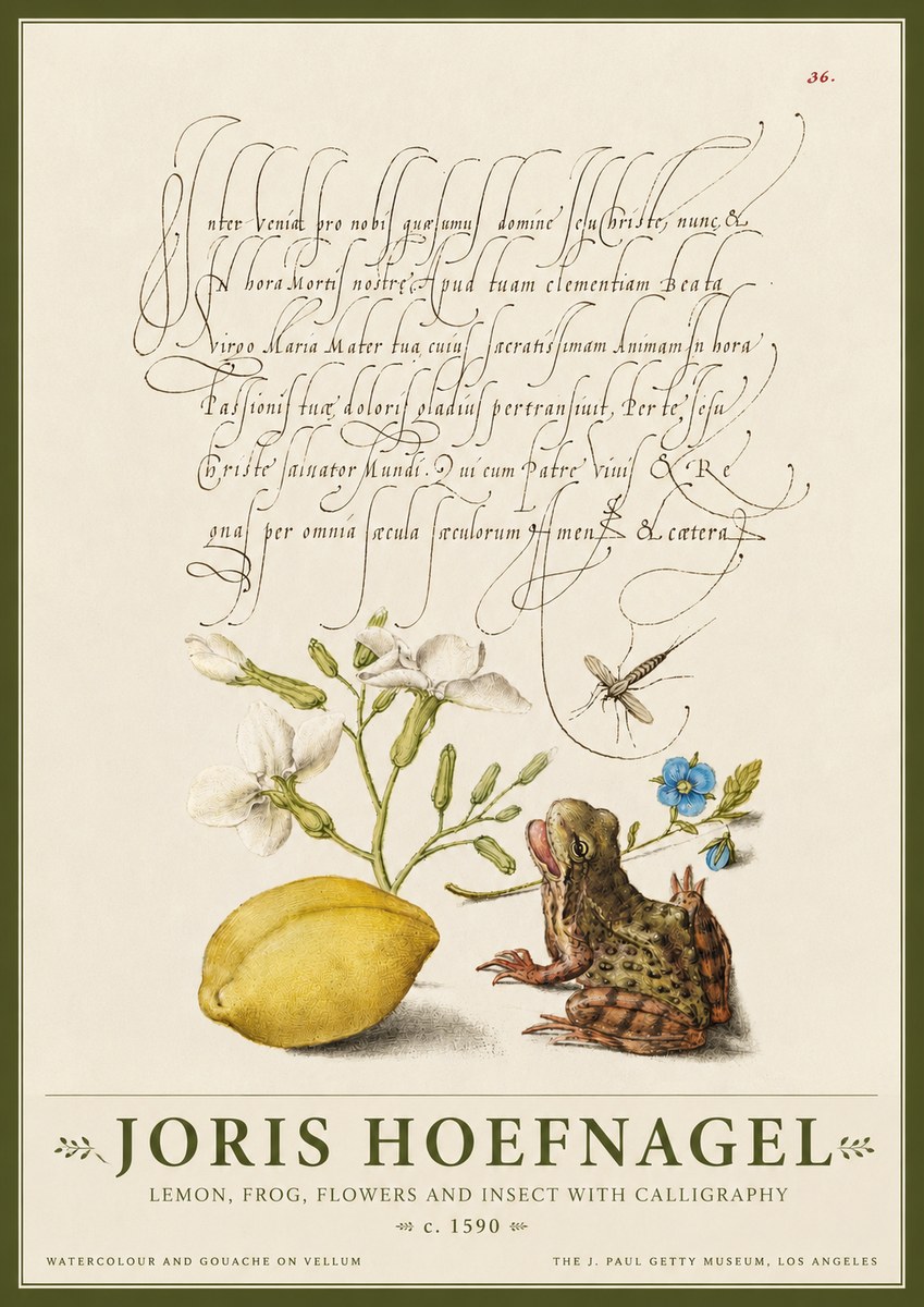 Joris Hoefnagel Nature Study with Lemon, Flowers, Frog & Insect No4 - Poszter