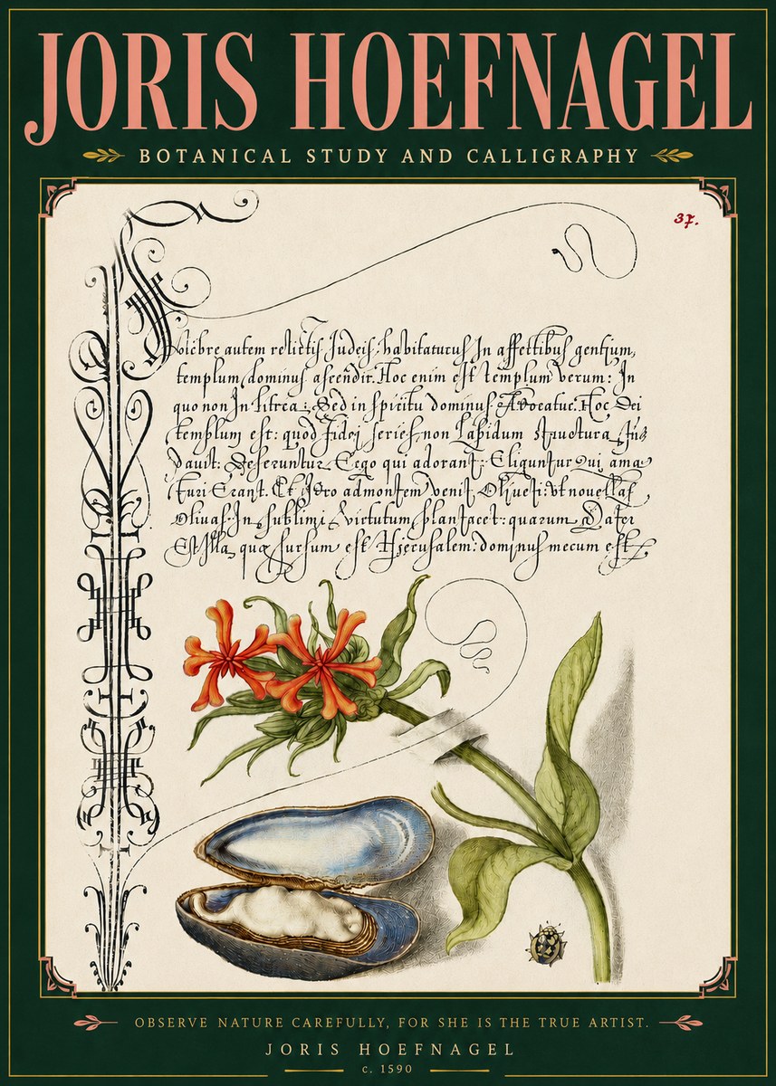 Joris Hoefnagel Botanical Study and Calligraphic Page No5 - Poszter