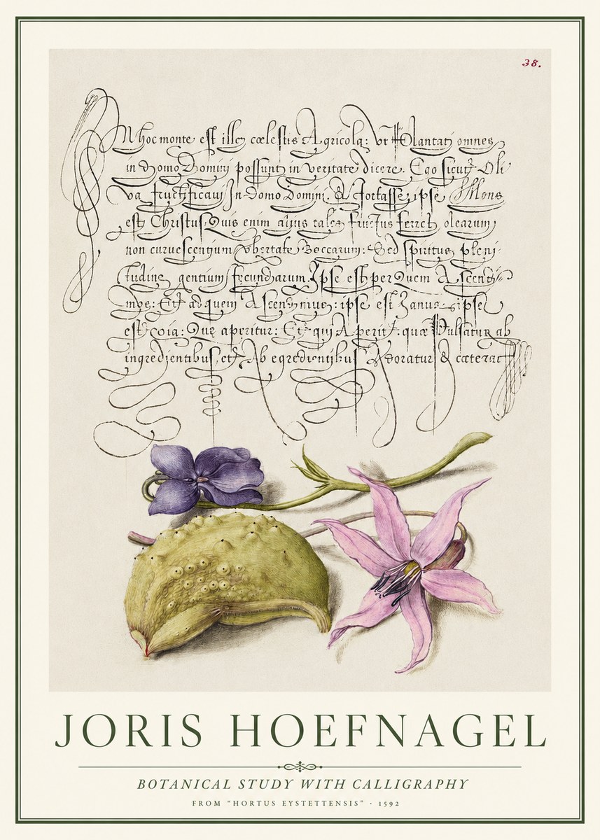 Joris Hoefnagel Botanical Study with Calligraphy I No1 - Poszter