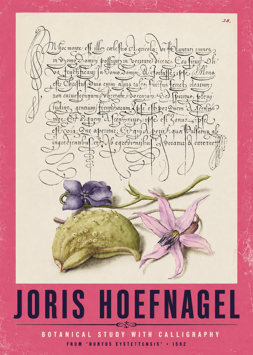 Joris Hoefnagel Botanical Study with Calligraphy I No2 - Poszter