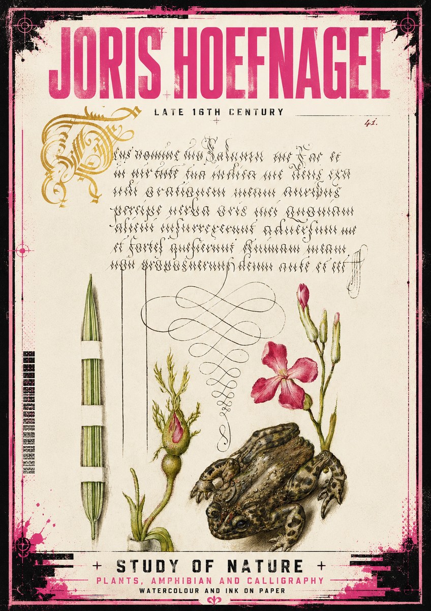 Joris Hoefnagel Study of Nature I No4 - Poszter