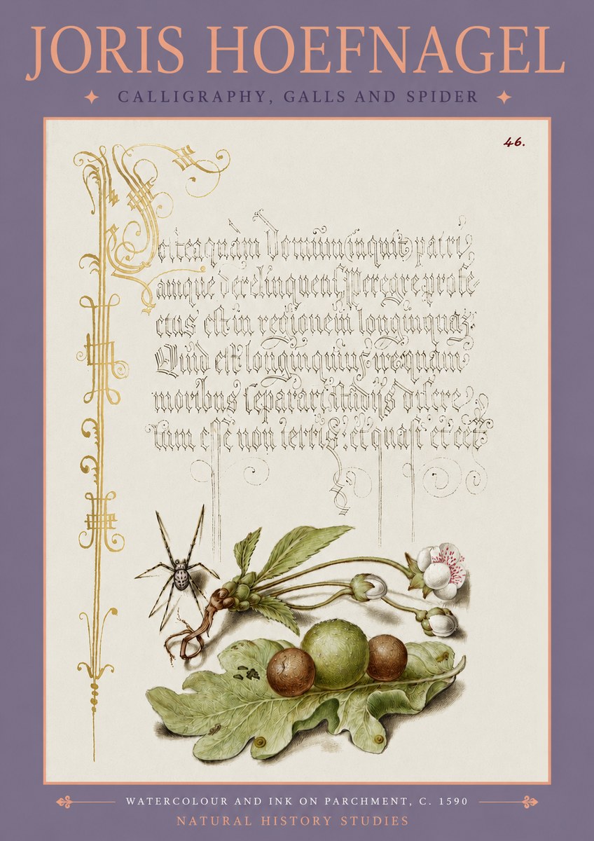 Joris Hoefnagel Plant with Galls and Insect No4 - Poszter