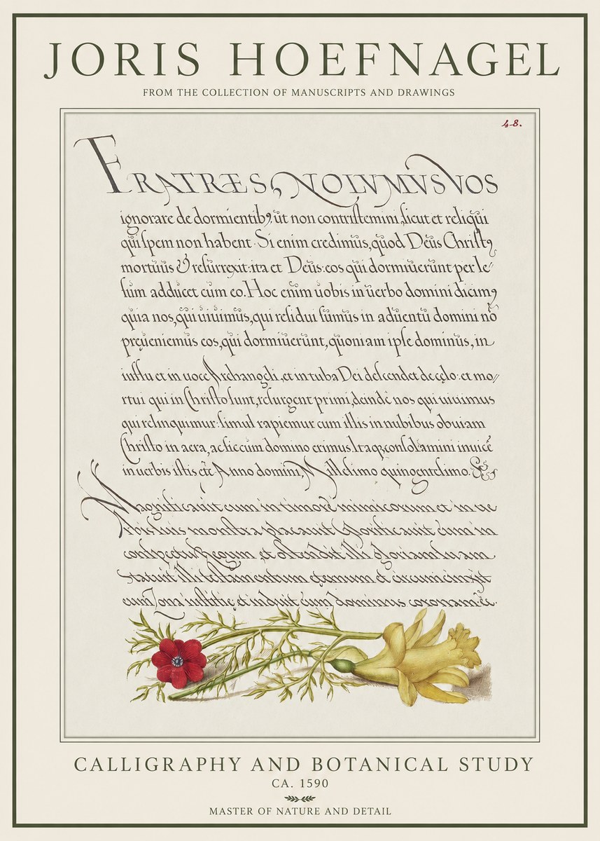 Joris Hoefnagel Calligraphy and Botanical Study I No1 - Poszter