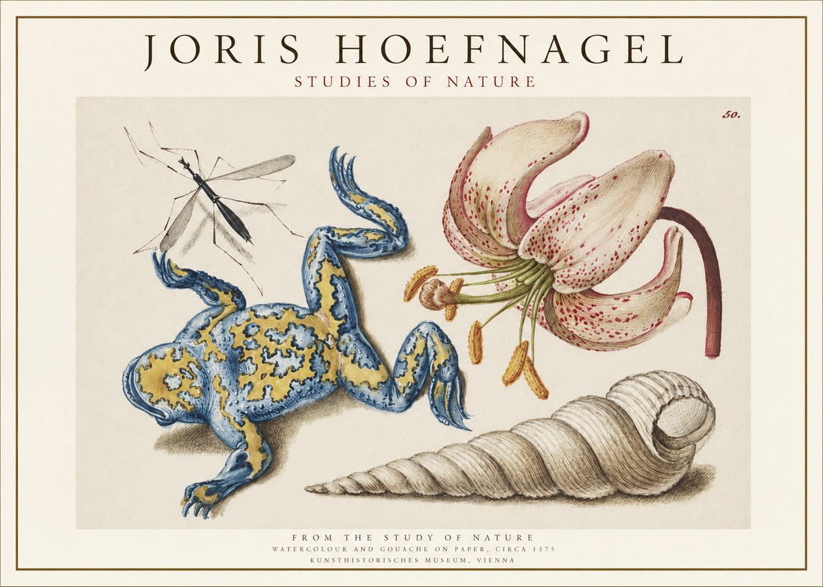 Joris Hoefnagel From the Study of Nature No1 - Poszter