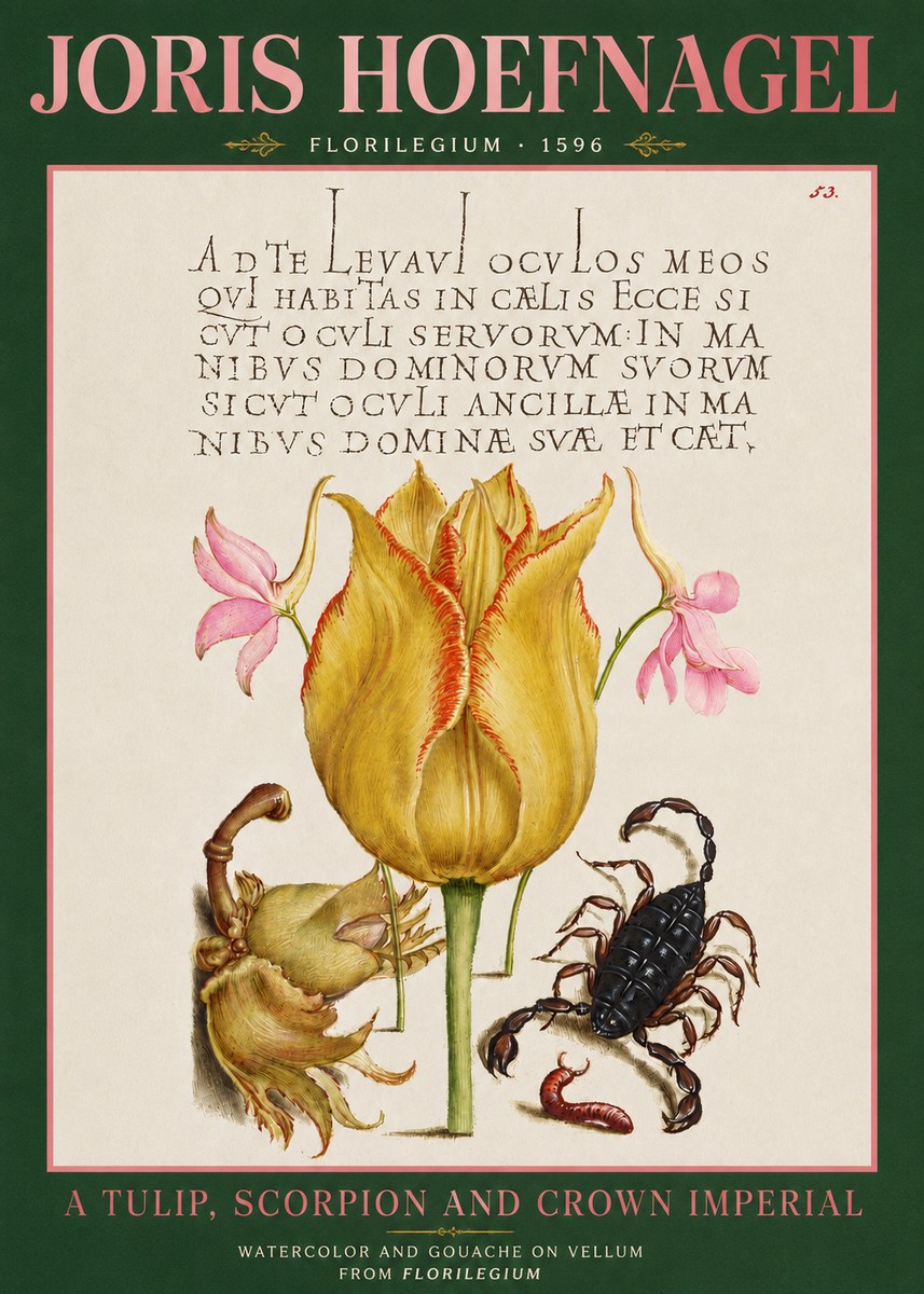 Joris Hoefnagel A Tulip, Scorpion and Crown Imperial No3 - Poszter