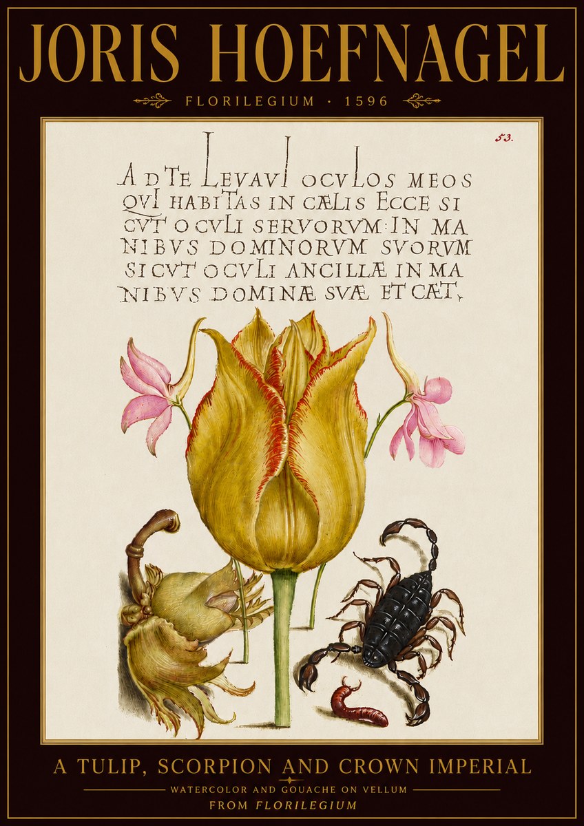 Joris Hoefnagel A Tulip, Scorpion and Crown Imperial No5 - Poszter