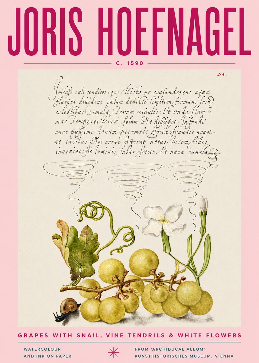Joris Hoefnagel Grapes with Snail, Vine Tendrils & White Flowers No4 - Poszter