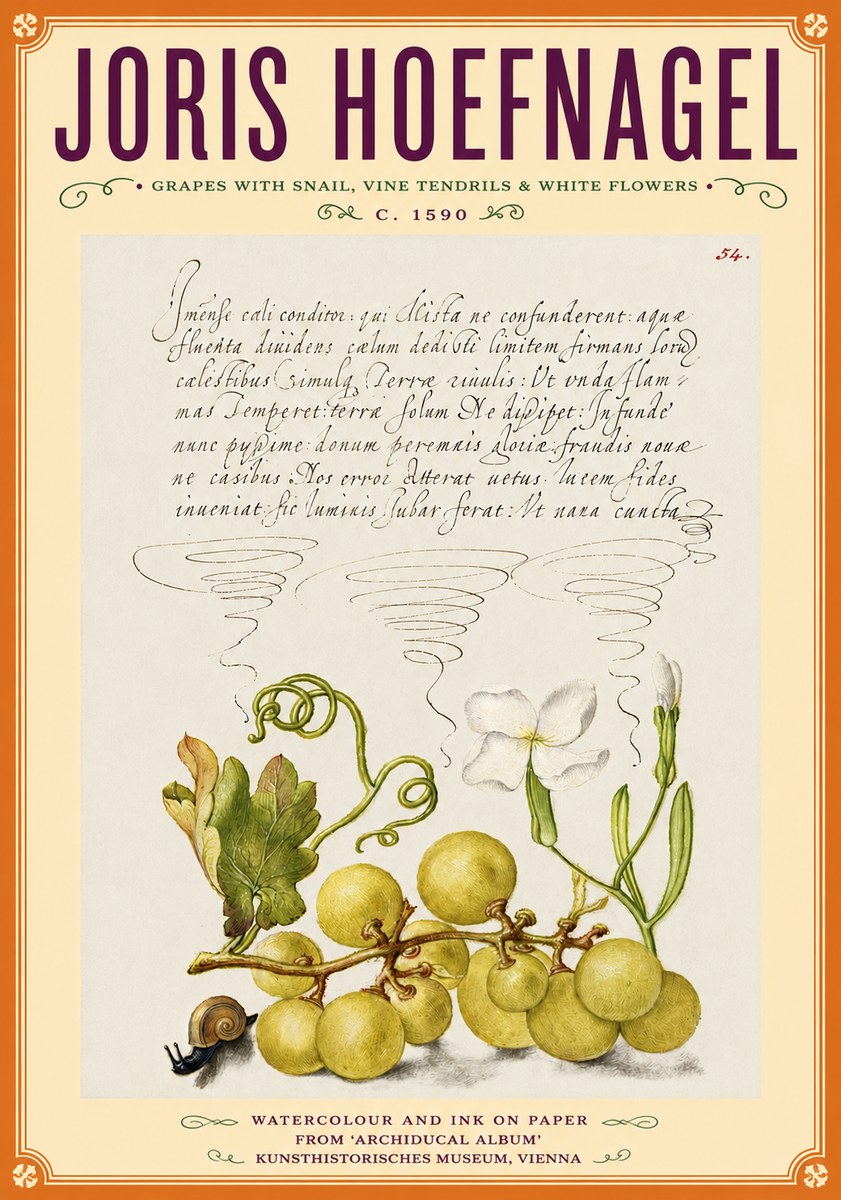 Joris Hoefnagel Grapes with Snail, Vine Tendrils & White Flowers No6 - Poszter