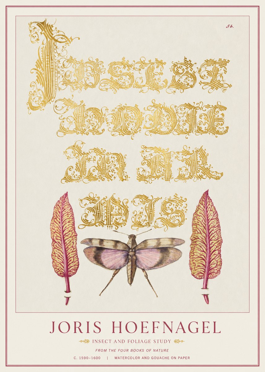Joris Hoefnagel Insect and Foliage Study No1 - Poszter