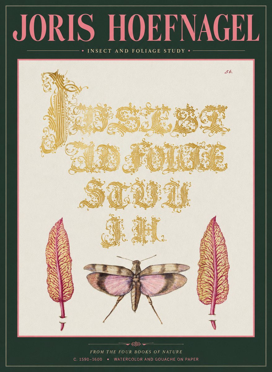 Joris Hoefnagel Insect and Foliage Study No2 - Poszter