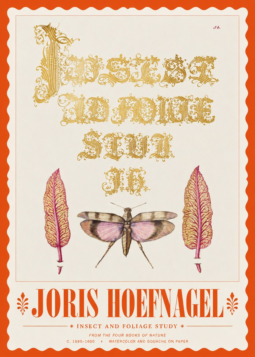 Joris Hoefnagel Insect and Foliage Study No3 - Poszter