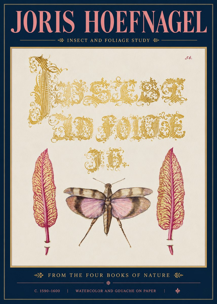 Joris Hoefnagel Insect and Foliage Study No5 - Poszter