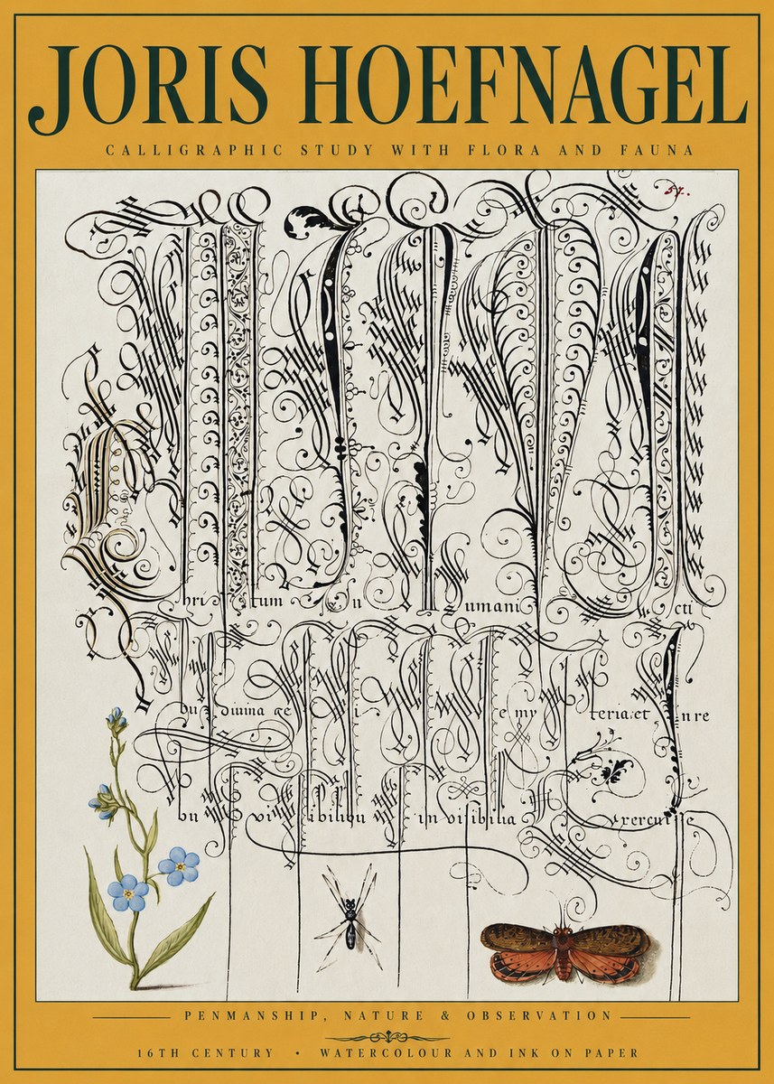 Joris Hoefnagel Calligraphic Study with Flora and Fauna No3 - Poszter