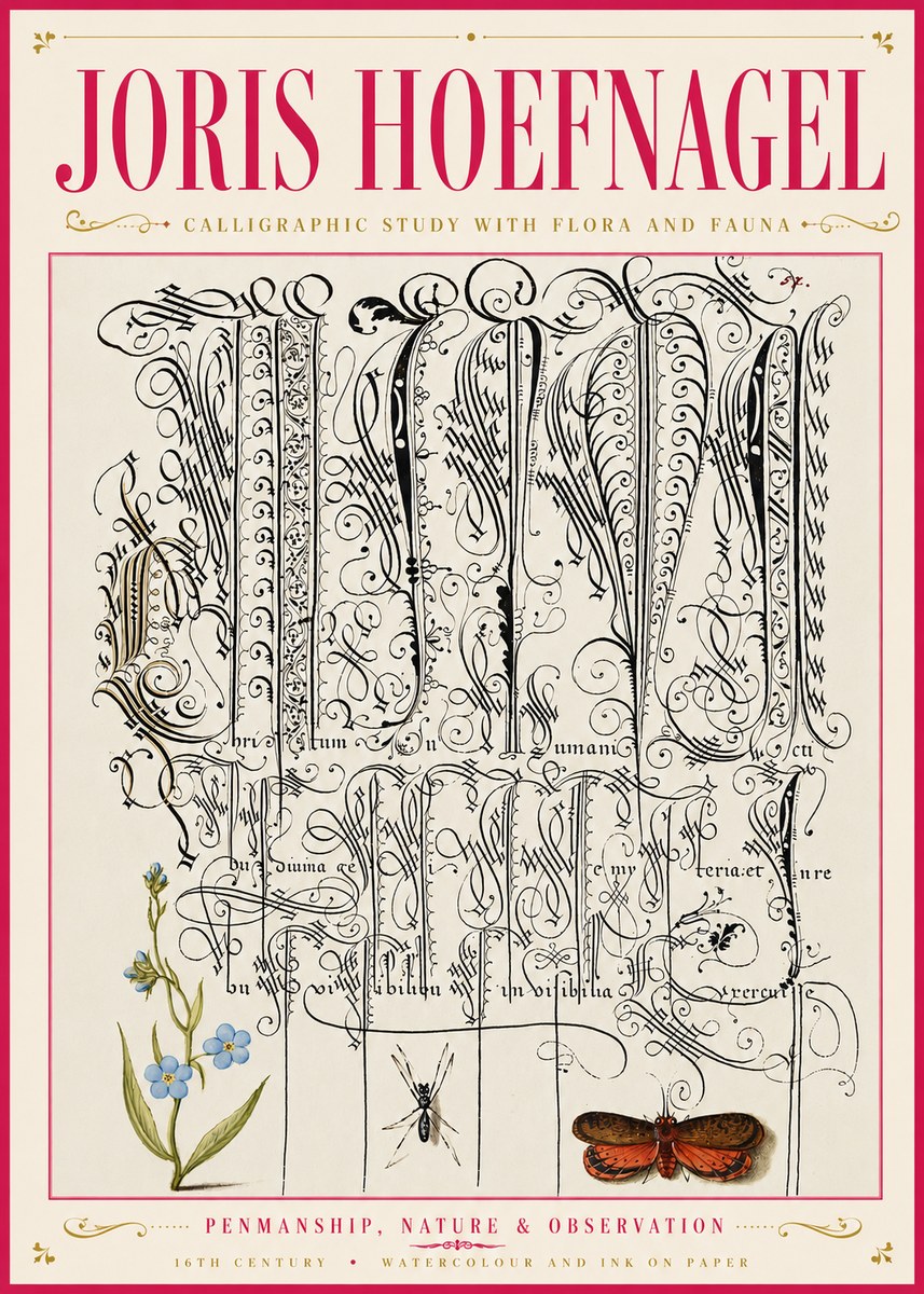 Joris Hoefnagel Calligraphic Study with Flora and Fauna No6 - Poszter