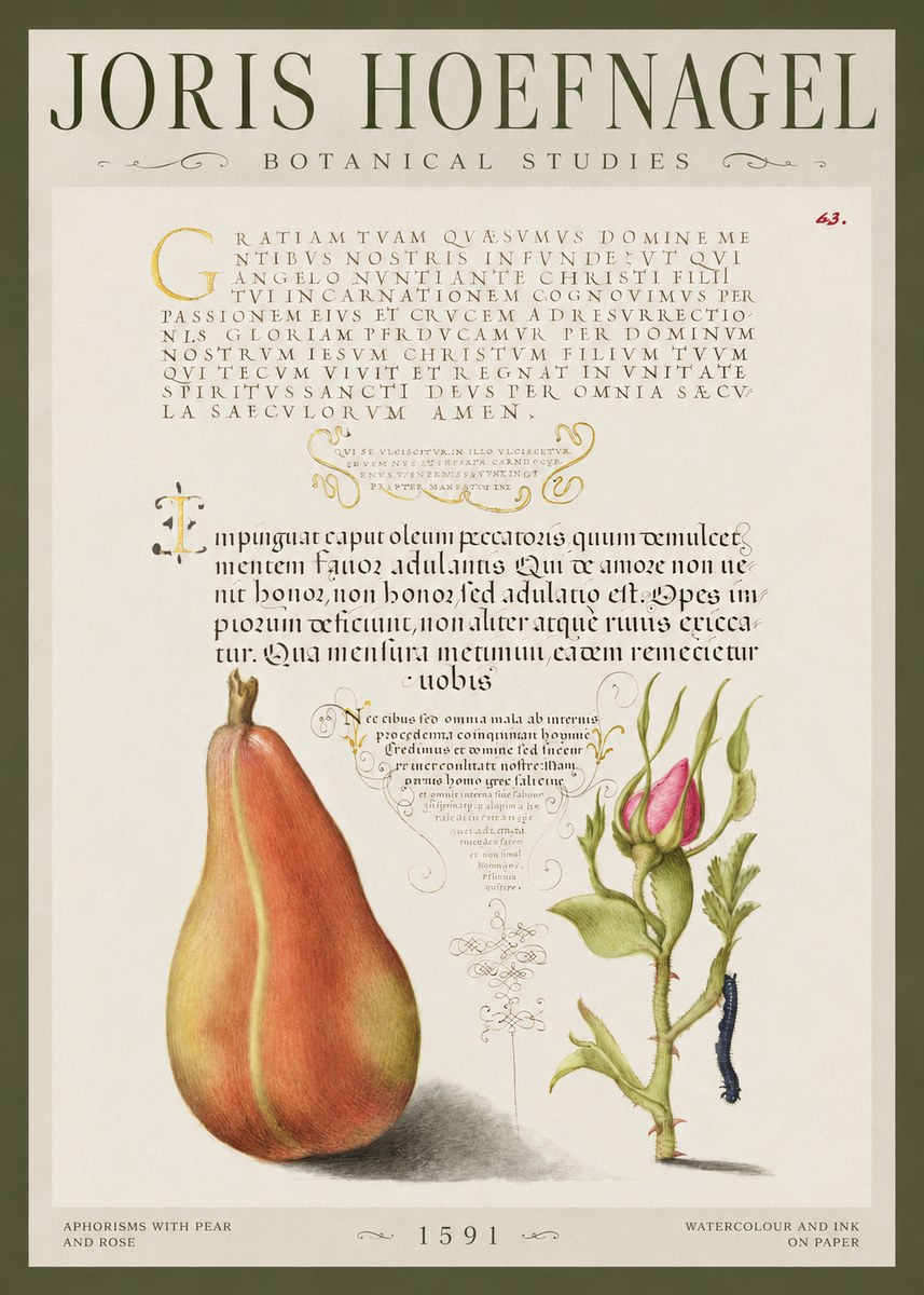 Joris Hoefnagel Aphorisms with Pear and Rose No1 - Poszter