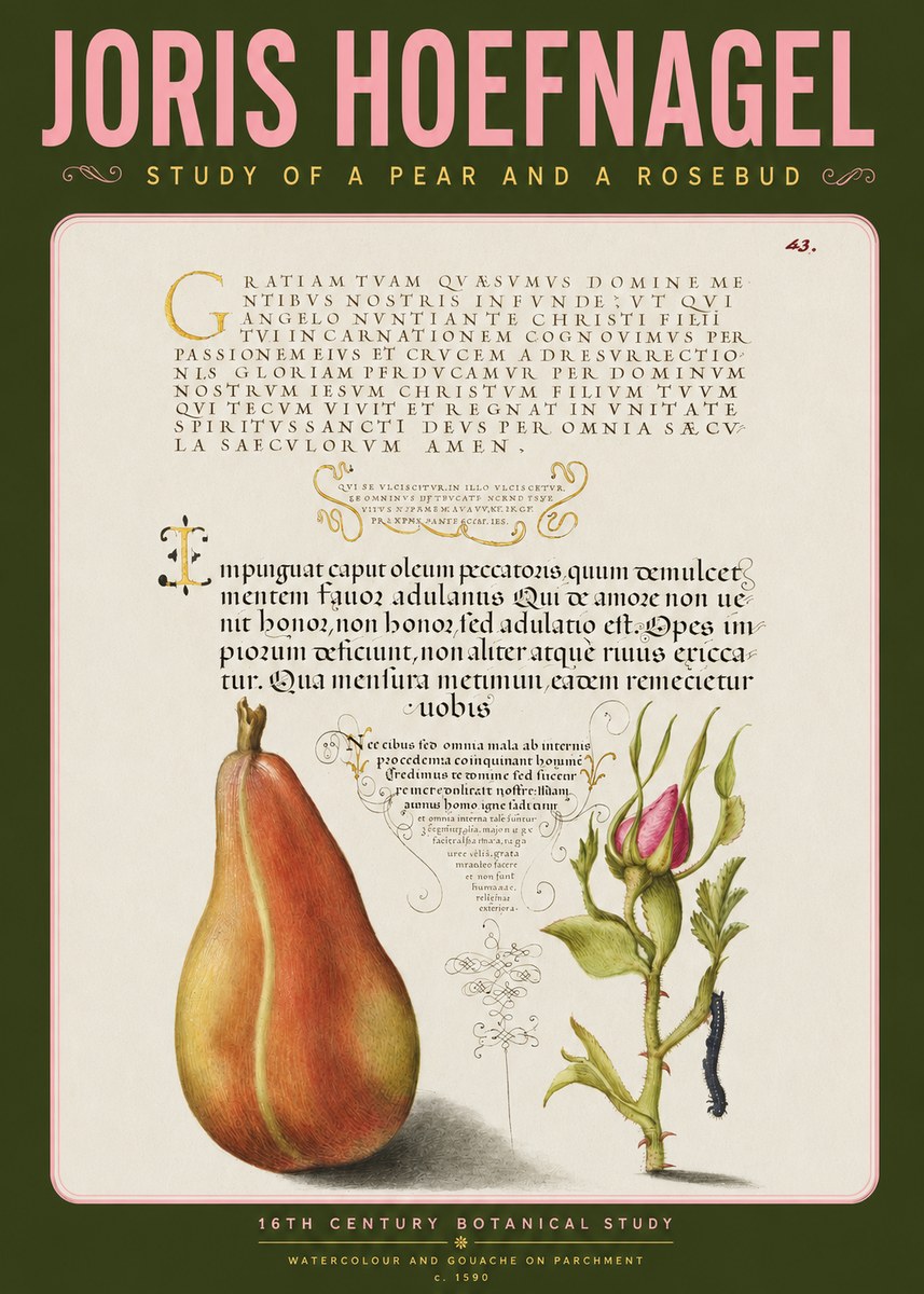 Joris Hoefnagel Aphorisms with Pear and Rose No4 - Poszter